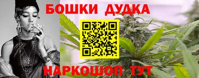 индика Северобайкальск