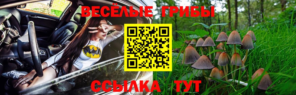 Псилоцибиновые грибы ЛСД  Вход с VPN  Галлюциногенные грибы Psilocybine cubensis  Орск 
