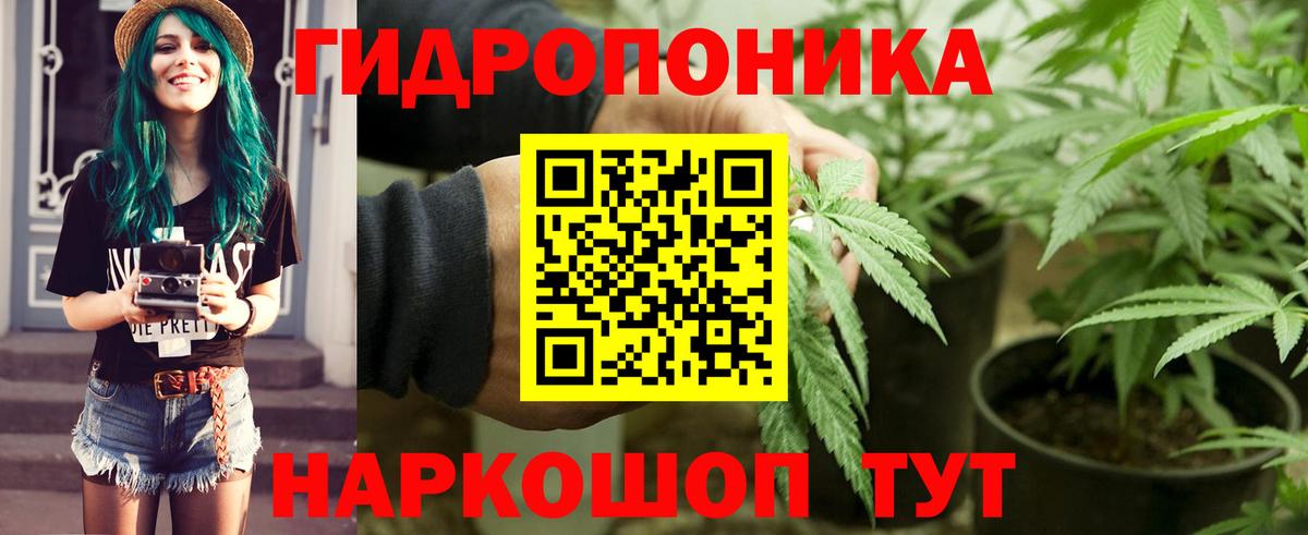 Бошки Шишки план Орск